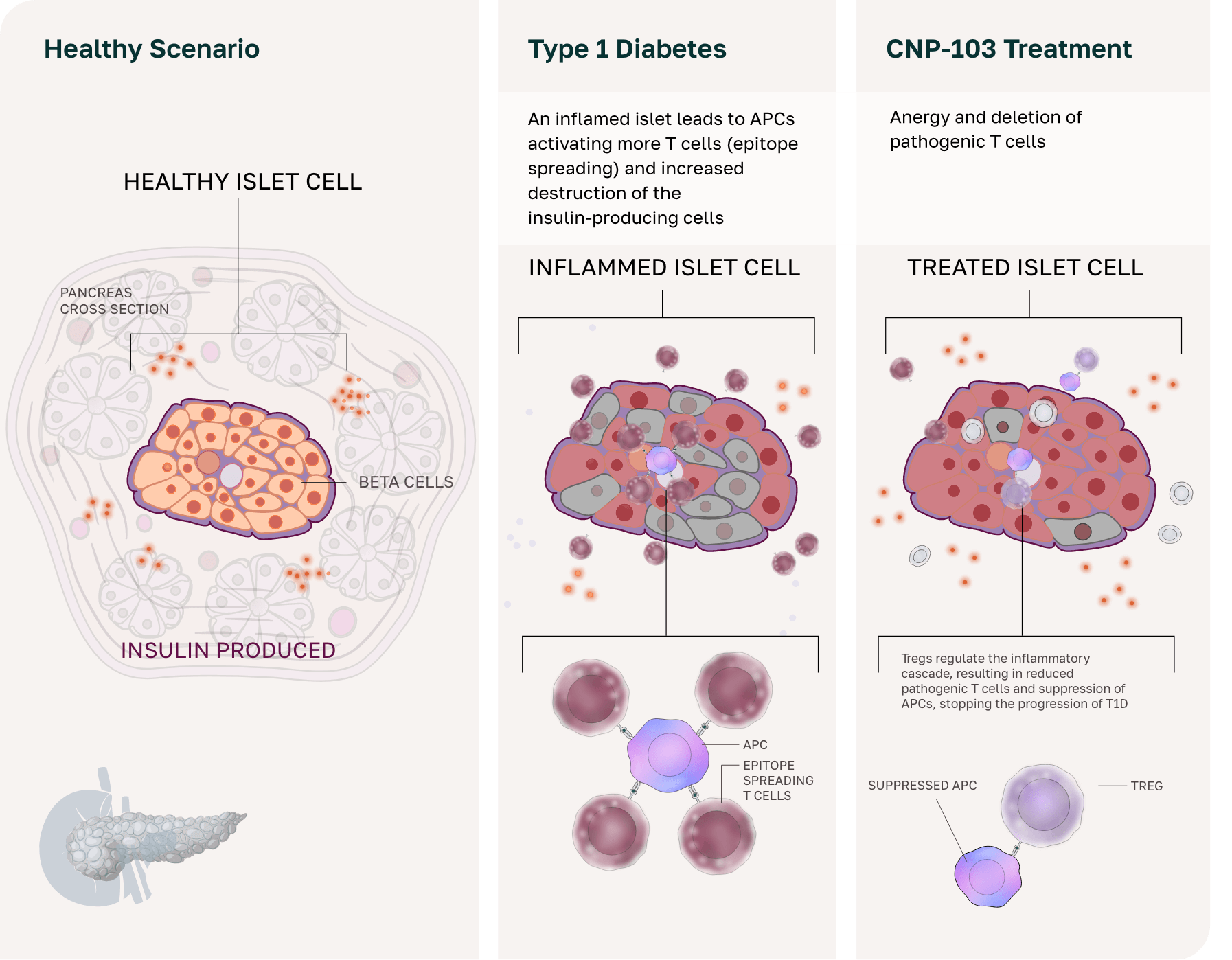 CNP-103 Graphic